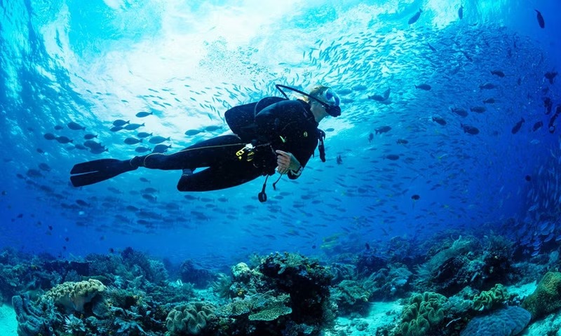 Cruise Image